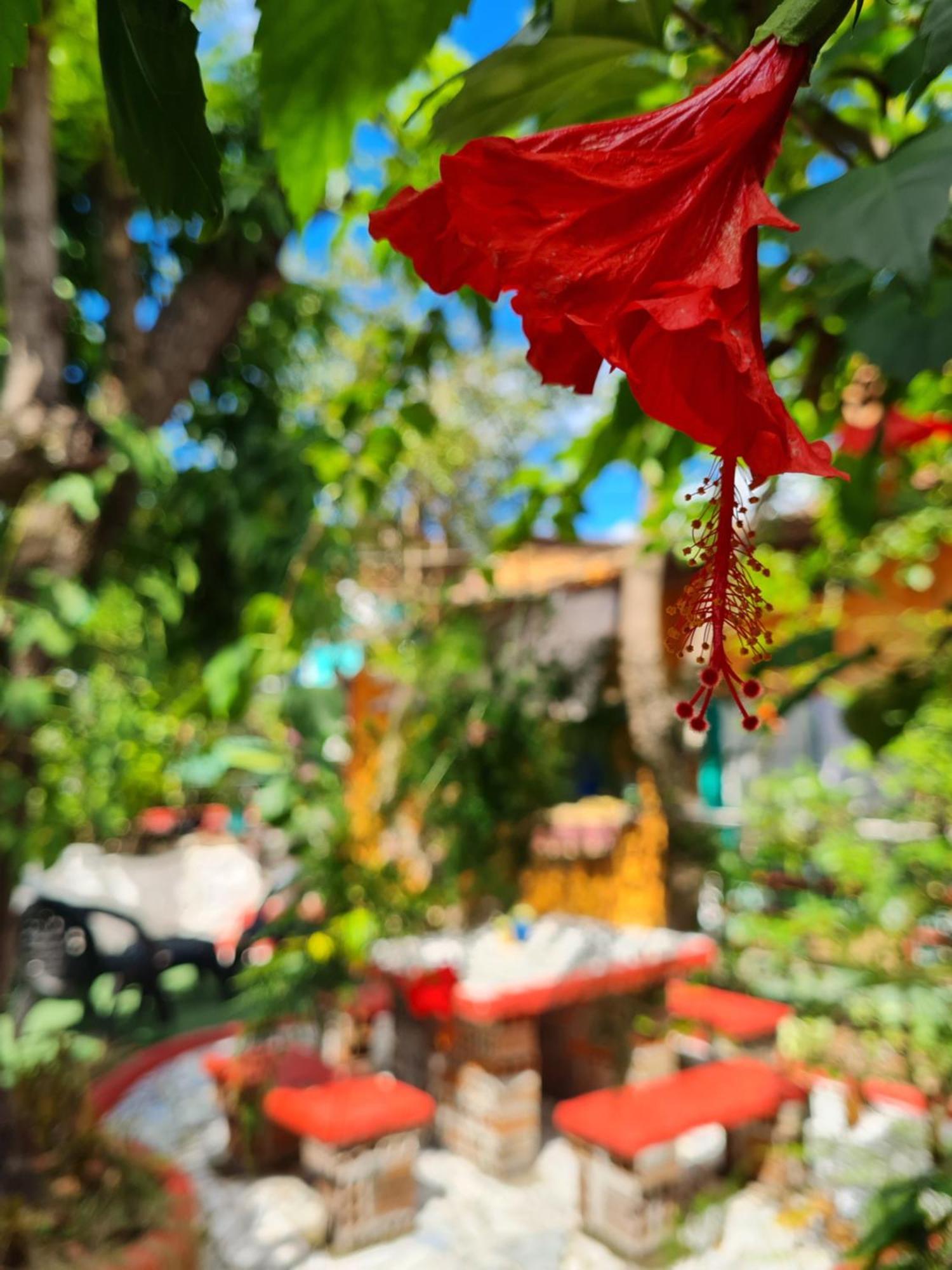 Hi Hostel Chapada Ленсойс Экстерьер фото