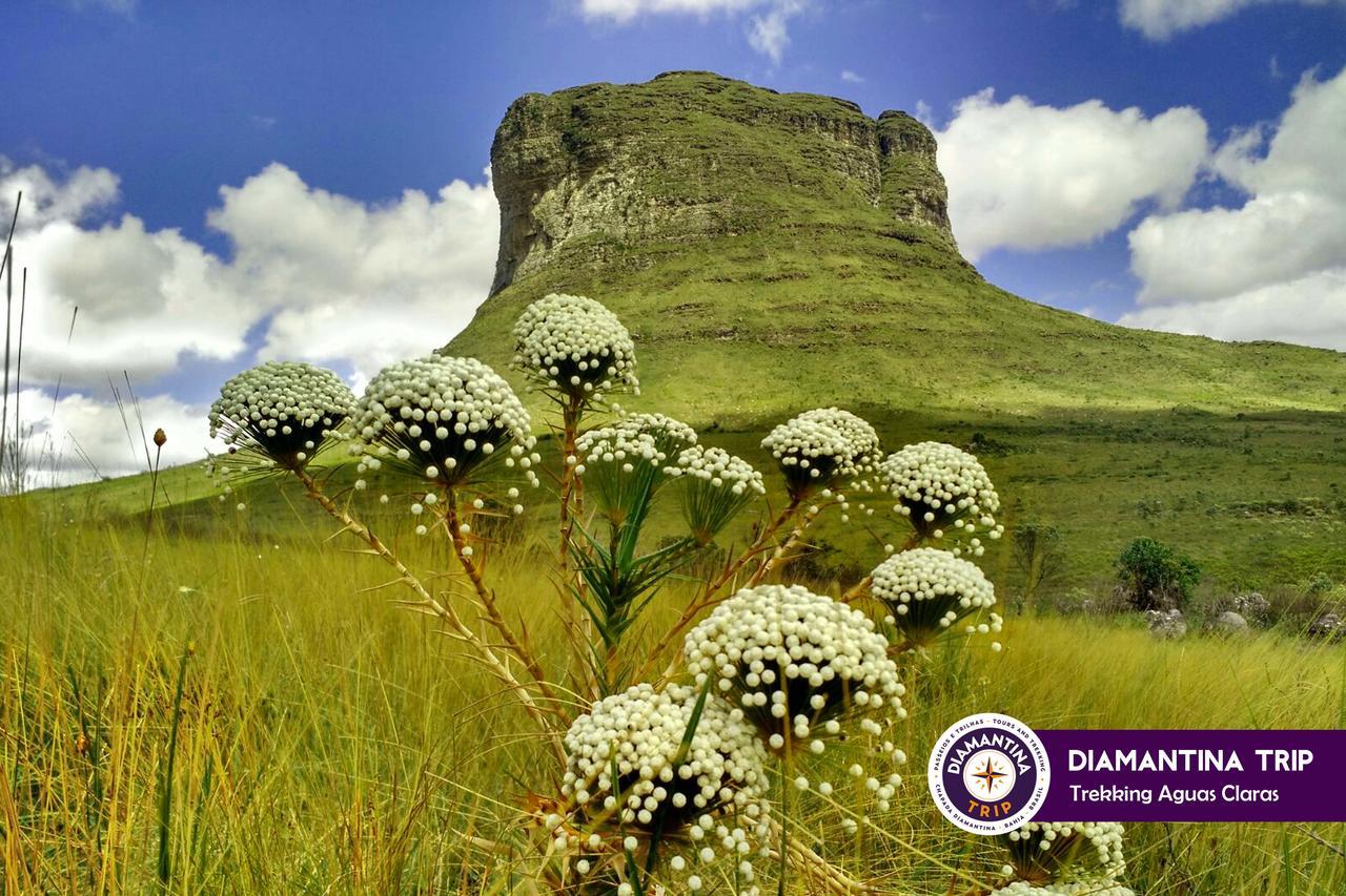 Hi Hostel Chapada Ленсойс Экстерьер фото